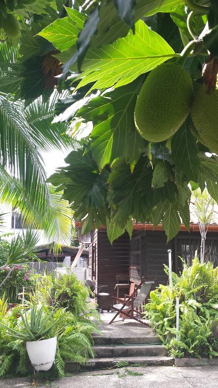 Apartamento Sailodge.Com San Andrés Pokoj fotografie